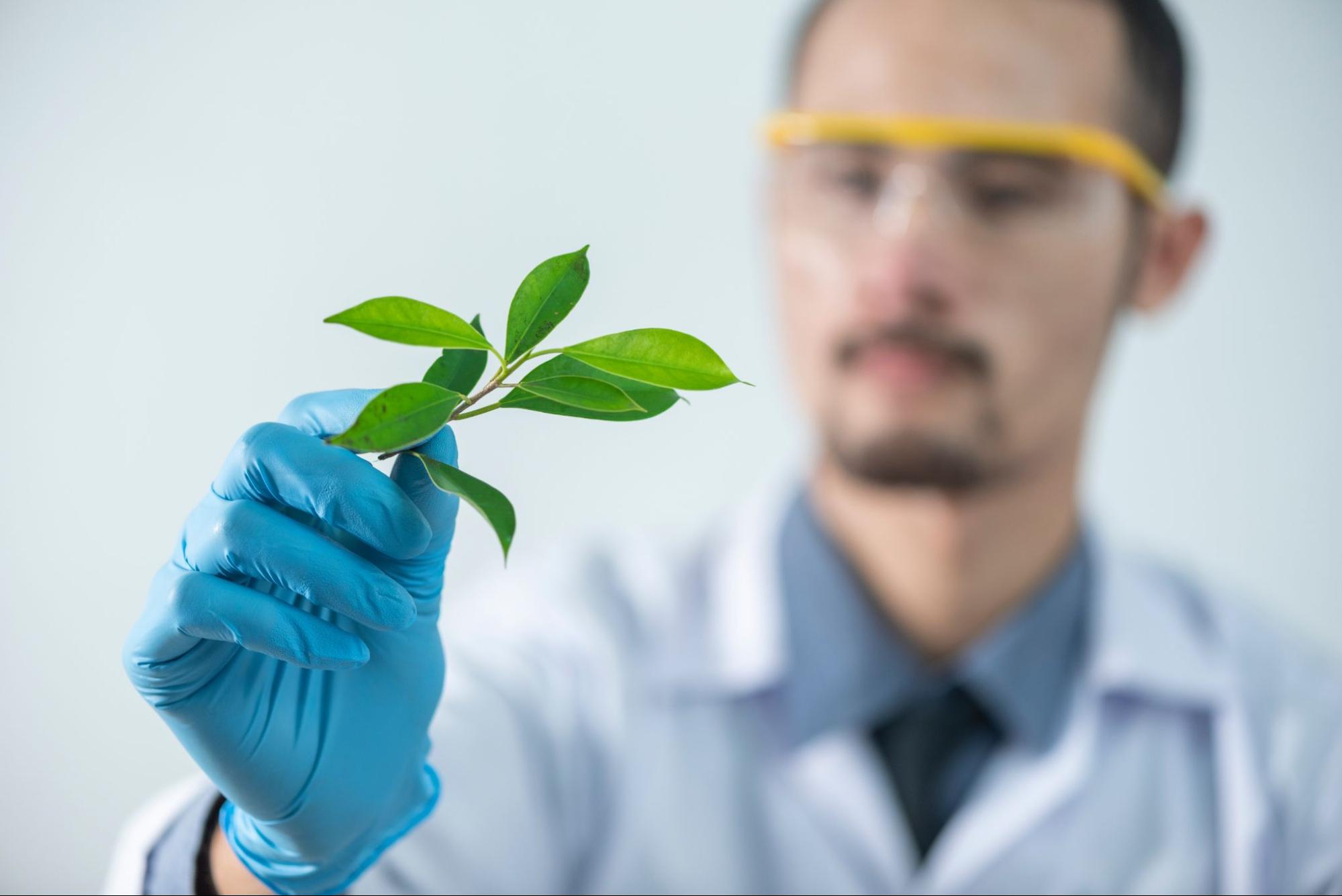 Hand wearing glove holding leafs for biopharmaceutical medicine