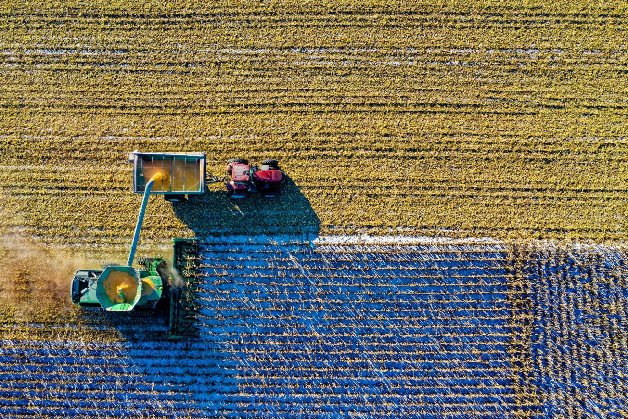 Tractor harvesting field for fresh produce for plant-based meals